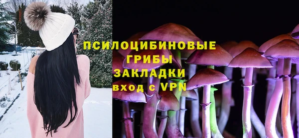 дурь Абаза
