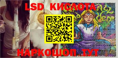 дмт Малгобек