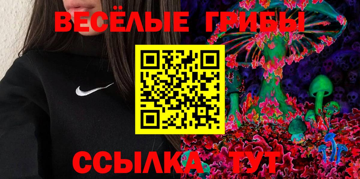 Галлюциногенные грибы мицелий  Вход с VPN  Приморско-Ахтарск 