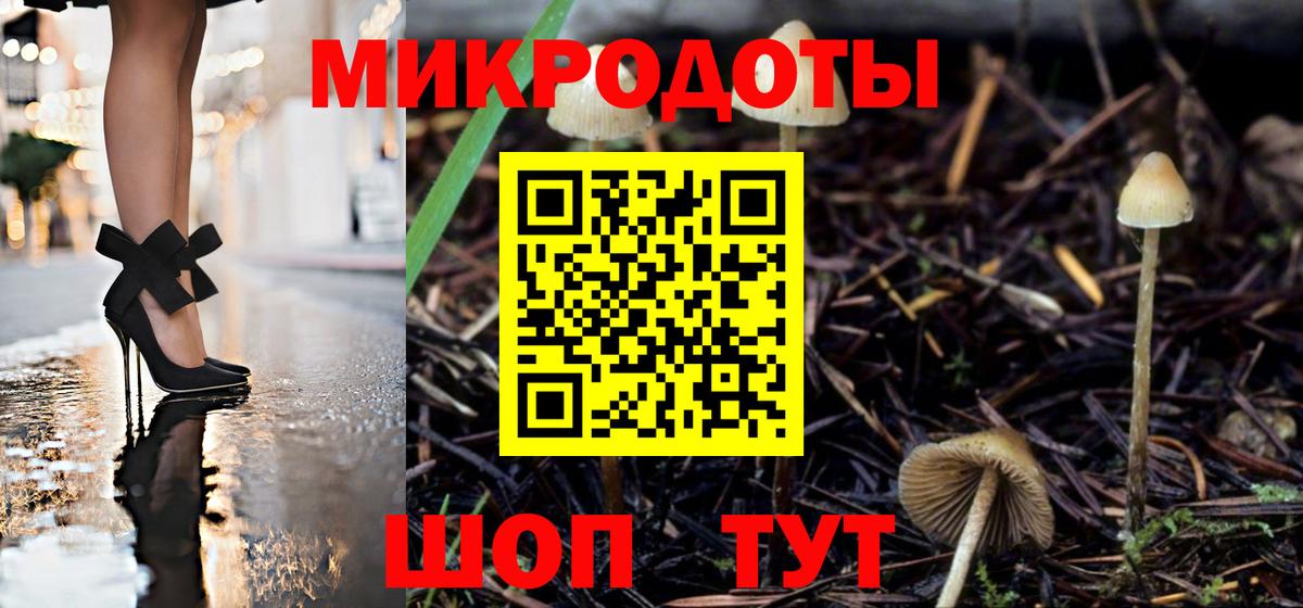 COCAIN Приморско-Ахтарск